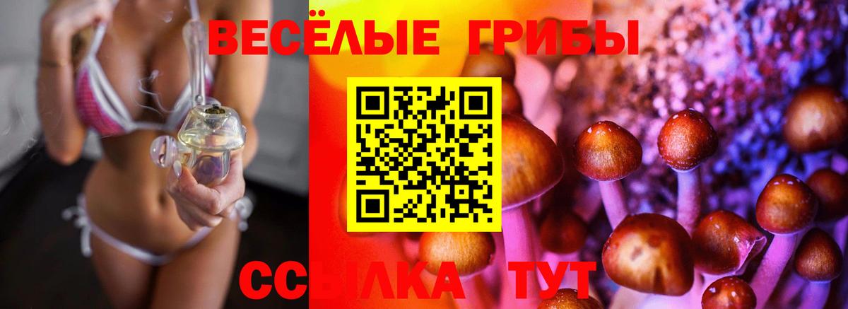 Электросталь  Псилоцибиновые грибы мухоморы  цена наркотик  Вход с VPN 