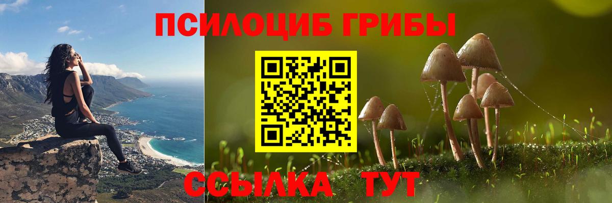 Псилоцибиновые грибы мухоморы Электросталь